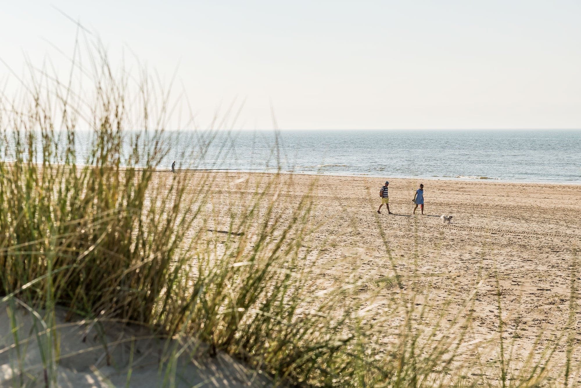 The One - Ligging Blankenberge